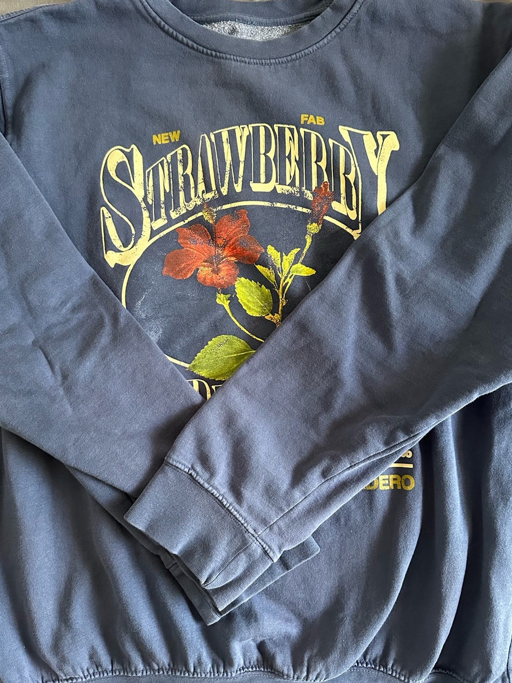 Urban Outfitters Strawberry Crewneck